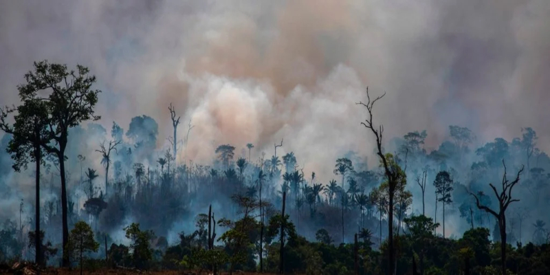 A significant portion of the Amazon Rainforest has now ‘flipped’ to emitting more CO2 than it absorbs.